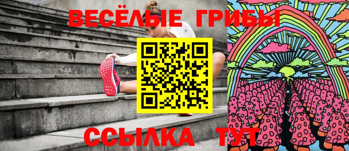 Псилоцибиновые грибы Cubensis  Вход с VPN  Ялта 