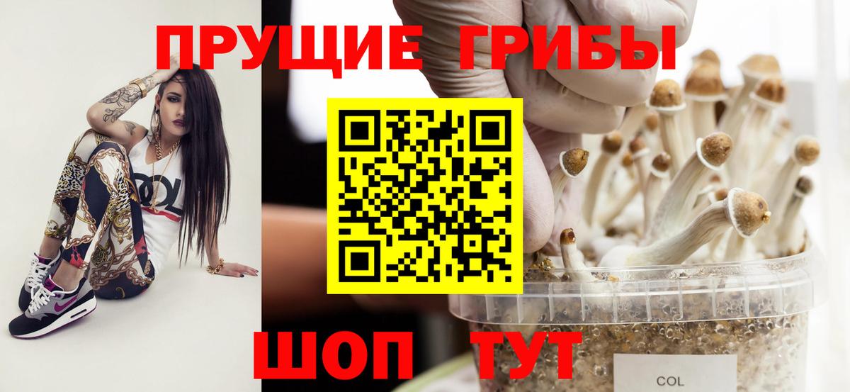 Псилоцибиновые грибы ЛСД Ялта